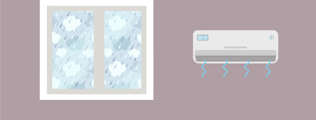 Spotlight: Changing Seasons image