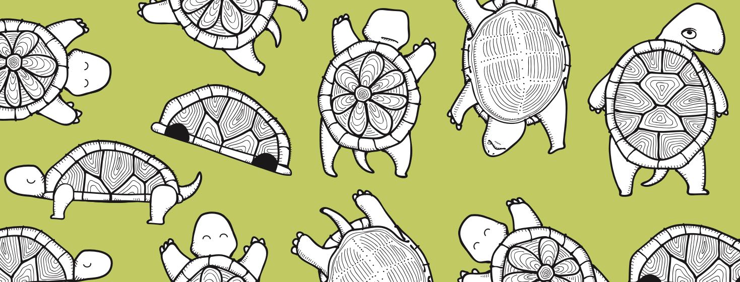 A collage of turtles in different states of fatigue. One main turtle looking back over its shoulder.