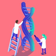 Two doctors inspect a double helix to administer targeted genetic therapy for cancer containing biomarkers