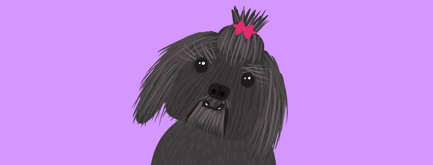 A dog with a bow tilts head at the viewer