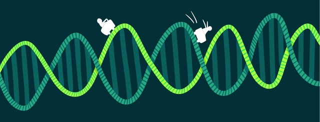 What are All of the Acronyms? <span class='highlight'>Biomarker</span> Testing and Mutations image