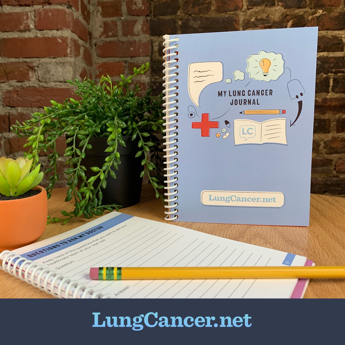My Lung Cancer Journal