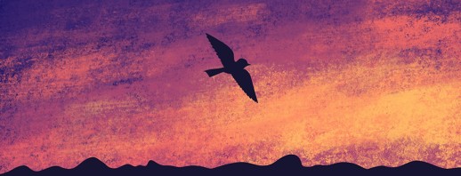 Freedom image