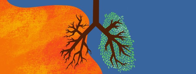 Is There A Link Between Agent Orange and Lung Cancer? image