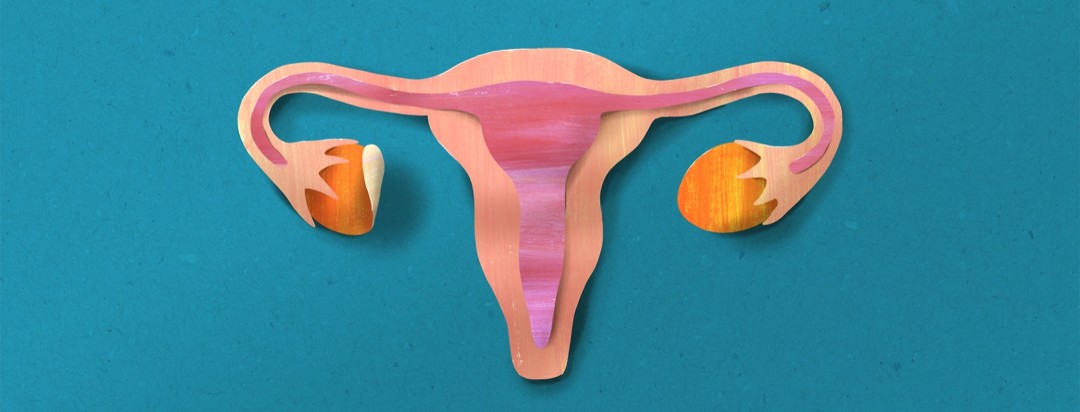 A papercut illustration of a female reproductive system with an ovary being lifted away
