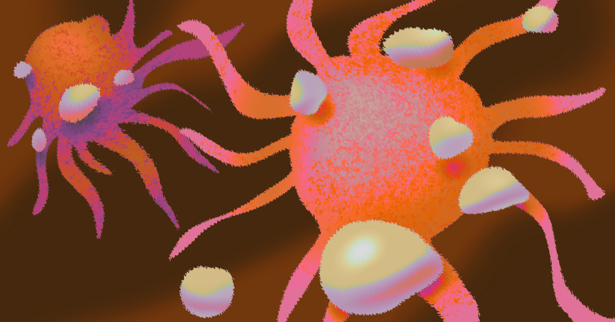 How Do Autoimmune Diseases Affect Cancer Risk? image
