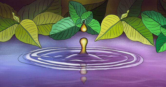 Aromatherapy Helped Me Manage My Lung Cancer Side Effects image